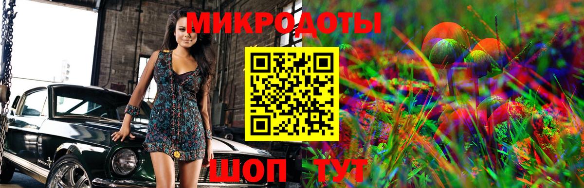 Муравленко  Галлюциногенные грибы Cubensis  Вход с VPN 